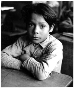 Taos County, New Mexico. Schoolboy at desk - NARA - 521847