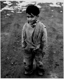 Taos County, New Mexico. Spanish-American boy - NARA - 521986