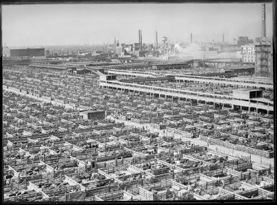 The maze of livestock pens and walkways at Chicago's stockyards, ca. 1947 - NARA - 541823