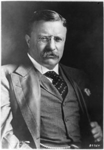 Theodore Roosevelt - NARA - 530950