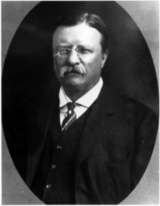 Theodore Roosevelt - NARA - 559330