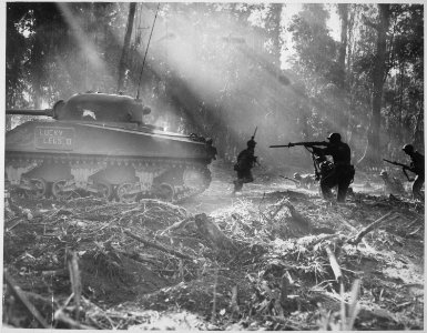 The Yanks mop up on Bougainville. At night the Japanese would infiltrate American lines. At Dawn, the doughboys went... - NARA - 531183