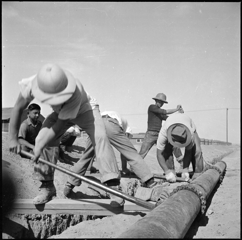 Topaz, Utah. A crew of Nisei volunteers completing the installation of water mains at the Topaz Rel . . . - NARA - 538718