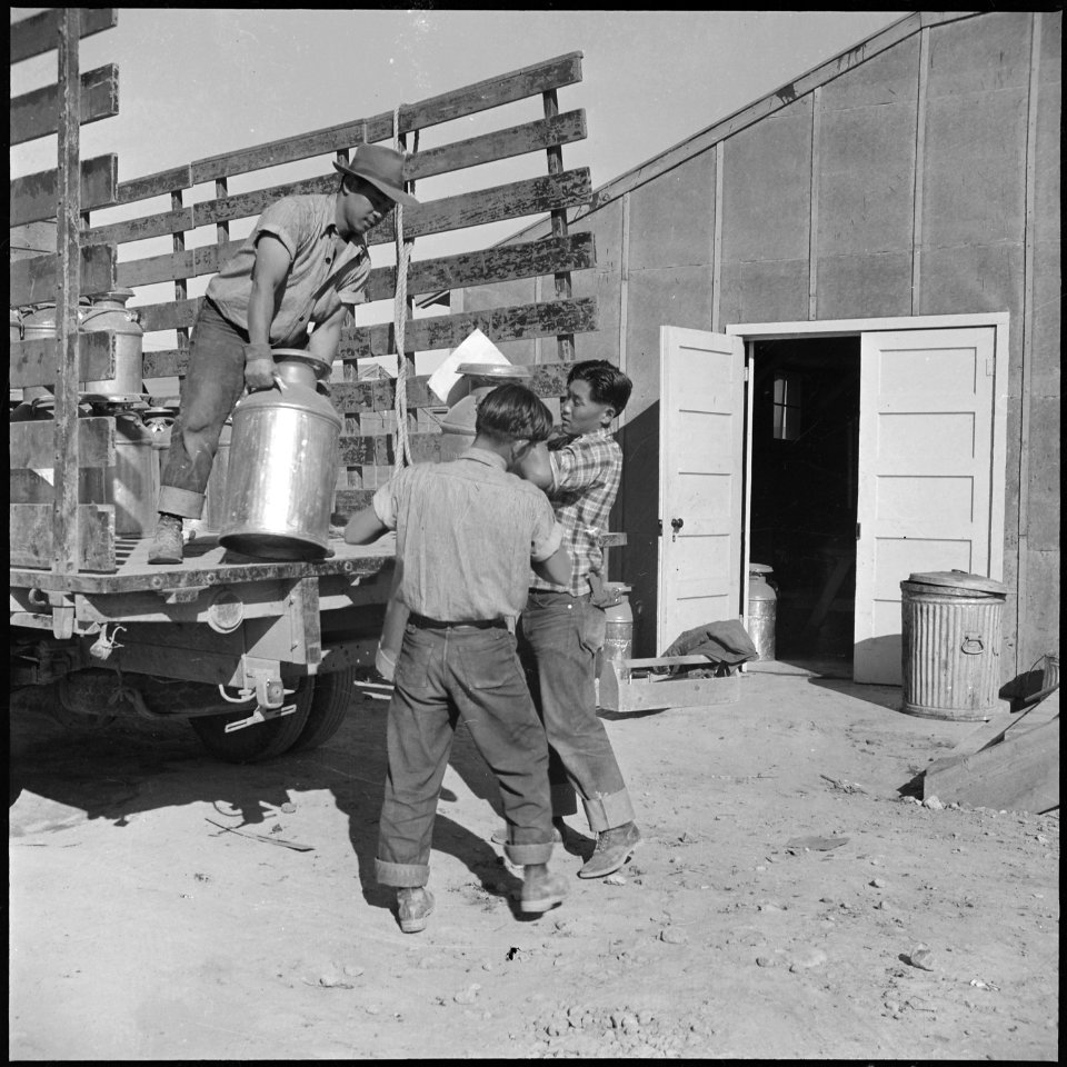 Topaz, Utah. Daily supply of milk being delivered by young evacuee workers at the mess kitchen door. - NARA - 538797