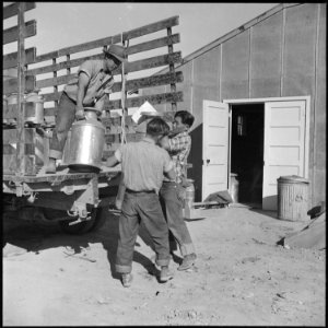 Topaz, Utah. Daily supply of milk being delivered by young evacuee workers at the mess kitchen door. - NARA - 538797