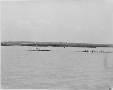 This is a photo taken during a cruise that President Truman took on the presidential yacht Williamsburg, evidently on... - NARA - 199708