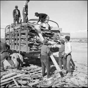Topaz, Utah. A group of volunteer workers at the Topaz Relocation Center gathering a truck load of . . . - NARA - 538697