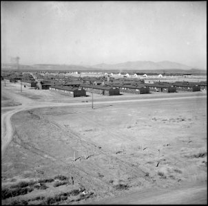 Topaz, Utah. General view of section of the Topaz center. White buildings in the background and t . . . - NARA - 538674