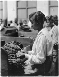 Tobacco plant. Picture of (African-American) woman before work tables covered with tobacco. - NARA - 522859 photo
