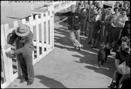 Topaz, Utah. Luther E. Hoffman, Project Director at the Central Utah Relocation Center, is shown lo . . . - NARA - 539618