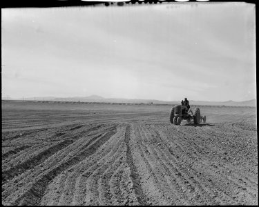 Topaz, Utah. Mechanical graders are used to scrape off spots in the subjugation processes on the fa . . . - NARA - 536978