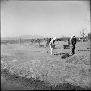 Topaz, Utah. Because the soil is dead , as the Japanese farmers, now residents at the Topaz Center . . . - NARA - 538687