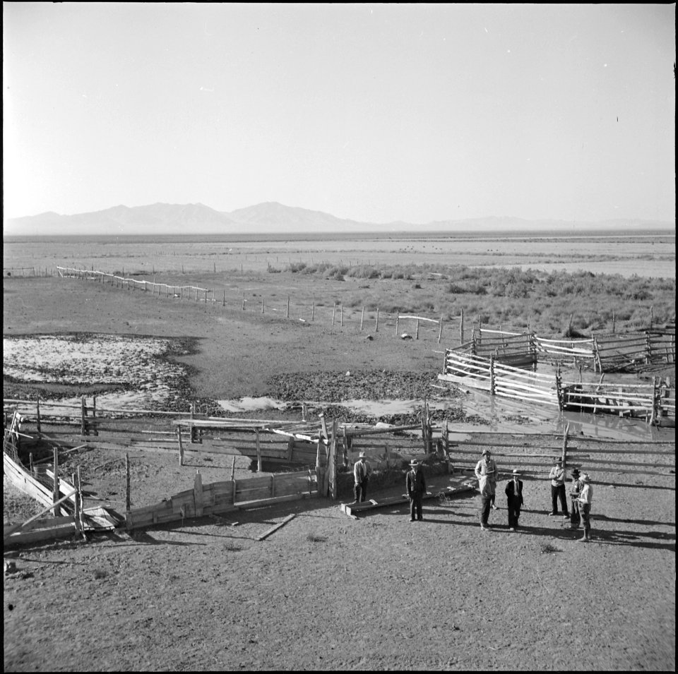 Topaz, Utah. Japanese farmer residents at the Topaz Relocation Center examining an existing hog far . . . - NARA - 538684