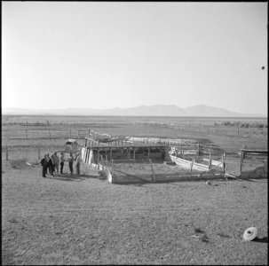 Topaz, Utah. Japanese farmer residents at the Topaz Relocation Center examining an existing hog far . . . - NARA - 538686