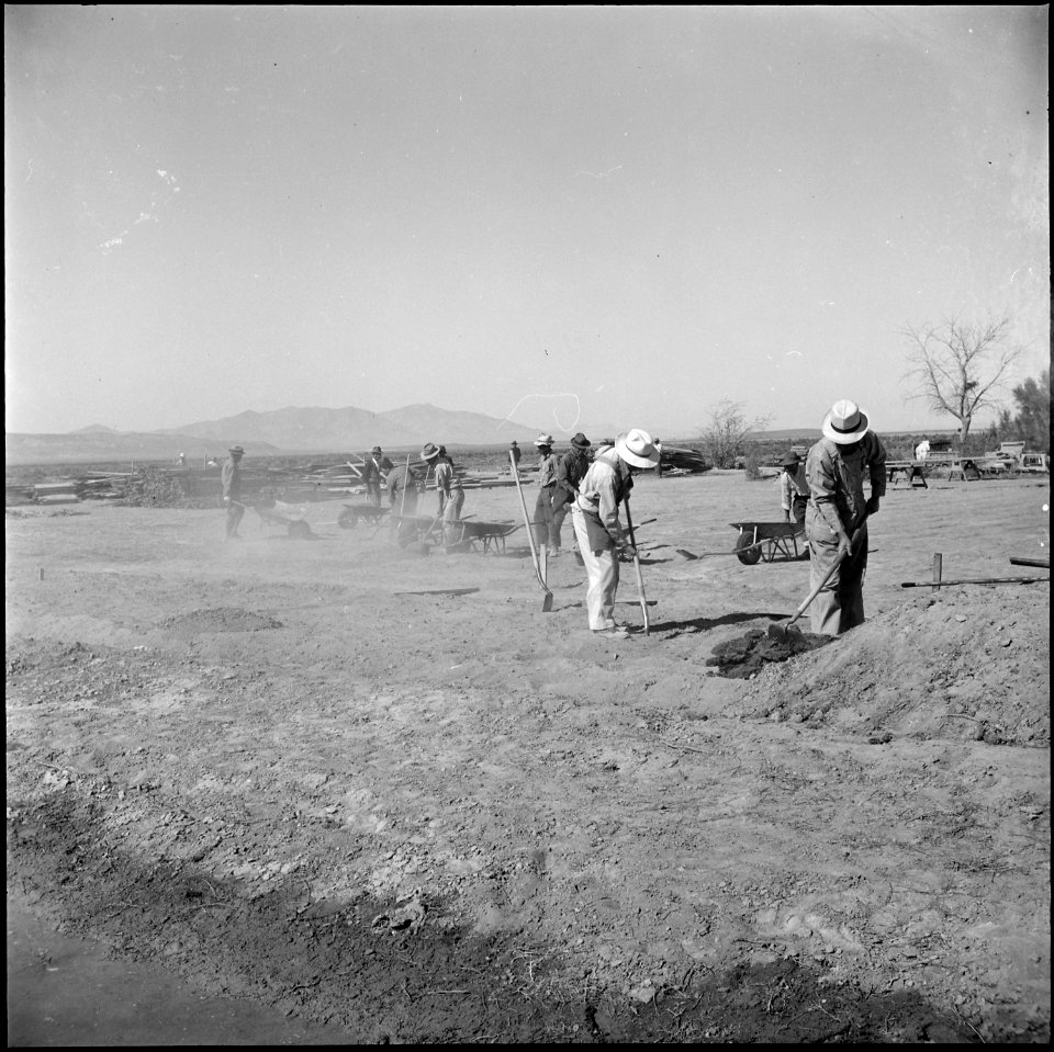 Topaz, Utah. Because the soil is dead , as the Japanese farmers, now residents at the Topaz Center . . . - NARA - 538687