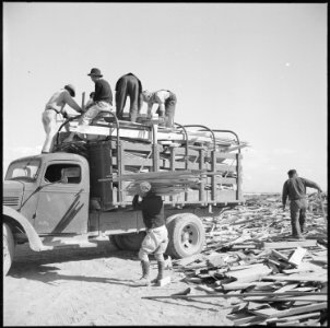 Topaz, Utah. Volunteer workers gathering a load of scrap from the contractor's scrap pile. Part wil . . . - NARA - 538712