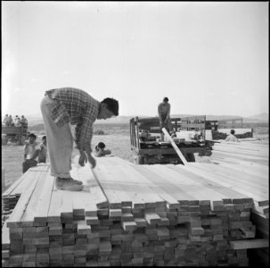 Topaz, Utah. Young volunteer workers of Japanese parentage haul lumber for the construction of barr . . . - NARA - 538701