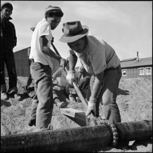 Topaz, Utah. Young volunteer workers, residents at the Topaz Relocation Center, completing the wate . . . - NARA - 538690