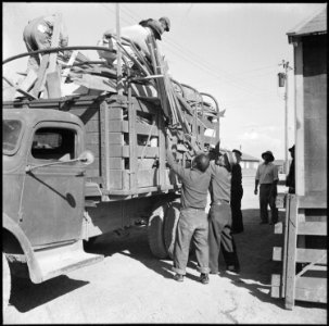 Topaz, Utah. Volunteer workers delivering scrap wood to be used as kindling at barracks at the Topa . . . - NARA - 538704