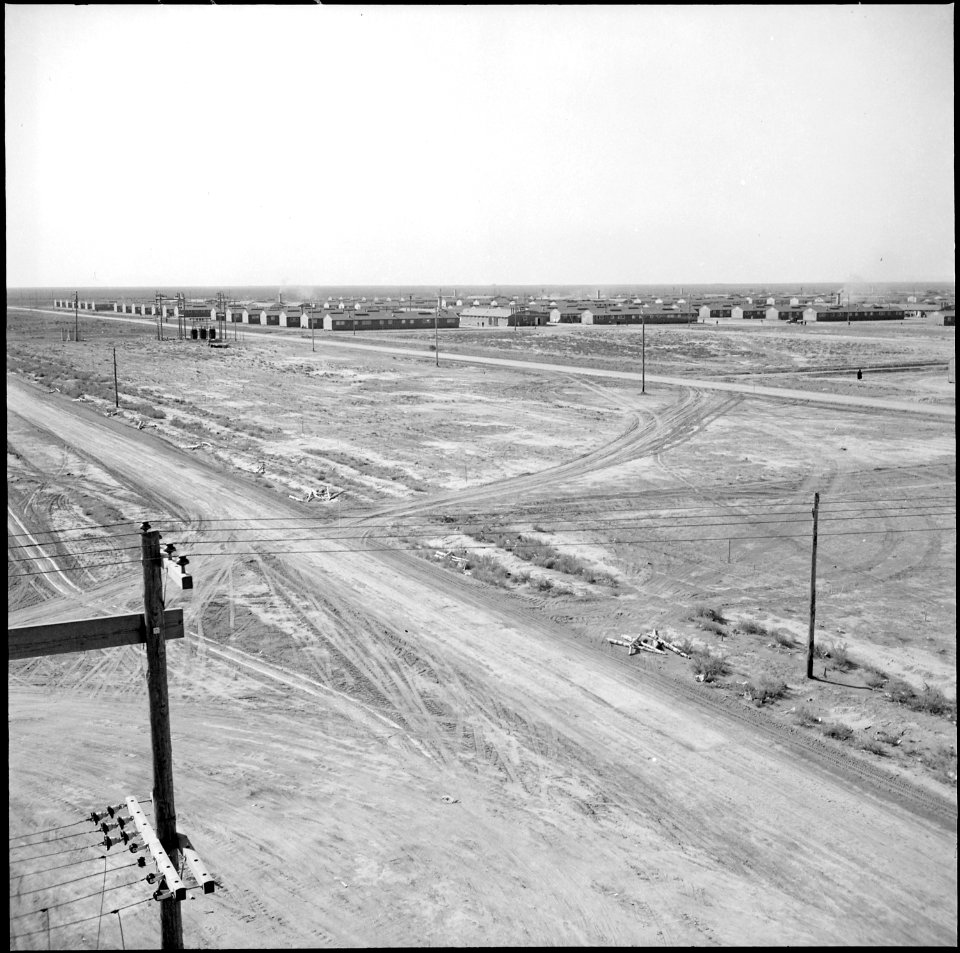 Topaz, Utah. South and East section of the Topaz Relocation Center. - NARA - 538679