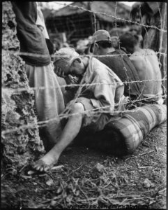 This disconsolate Japanese prisoner of war sits dejectedly behind barbed wire after he and some 306 others were... - NARA - 532560