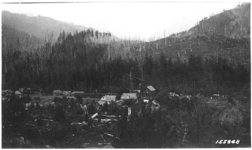 Town of Detroit, Oregon logged over section. Seed to Grasses, Santiam Forest, 1920. - NARA - 299195 photo