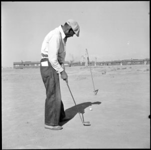 Topaz, Utah. This former California tournament runner-up keeps his golf form by first preparing a s . . . - NARA - 538717 photo
