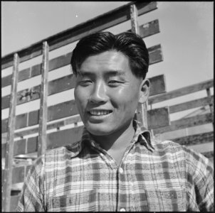 Topaz, Utah. Typical Nisei family man engaged in delivering mess hall provisions at this relocatio . . . - NARA - 538800