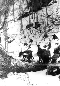 Transport zaopatrzenia do stanowisk bojowych w górach na froncie włoskim (2-2392)