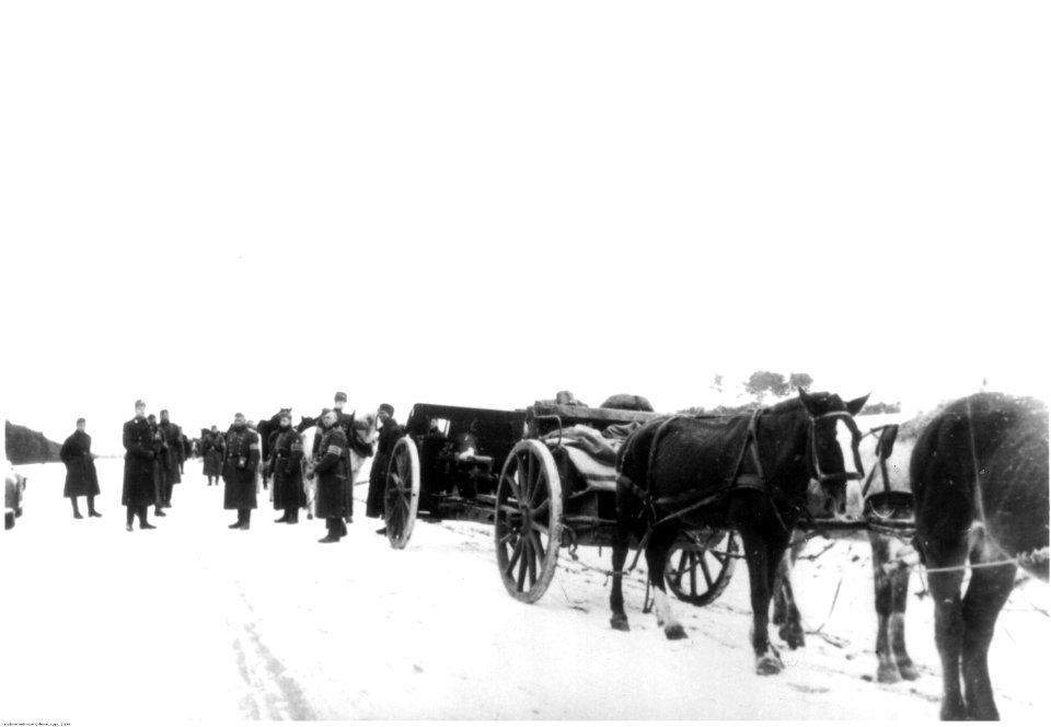 Transport zdobycznych dział polskich przez Niemców (2-146)
