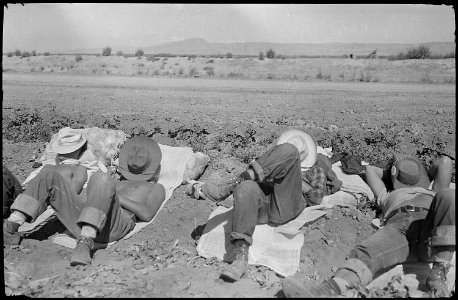 Tule Lake Relocation Center, Newell, California. 10-30 A.M. Farm workers' siesta. - NARA - 539429