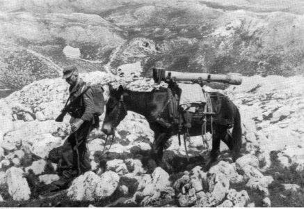 Transport niemieckiej broni w górach w Bośni przy pomocy koni (2-567)