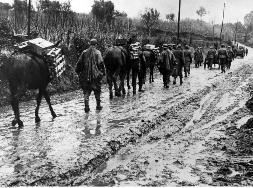 Transport zaopatrzenia dla żołnierzy niemieckich na froncie pod Nettuno - Anzio (2-2203)
