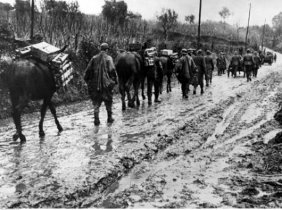 Transport zaopatrzenia dla żołnierzy niemieckich na froncie pod Nettuno - Anzio (2-2203)