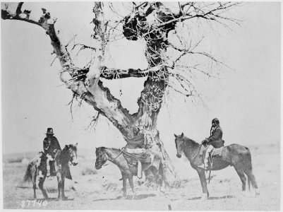 Tree burial of the Oglala Sioux (Horsemen) near Fort Laramie, Wyoming - NARA - 530913