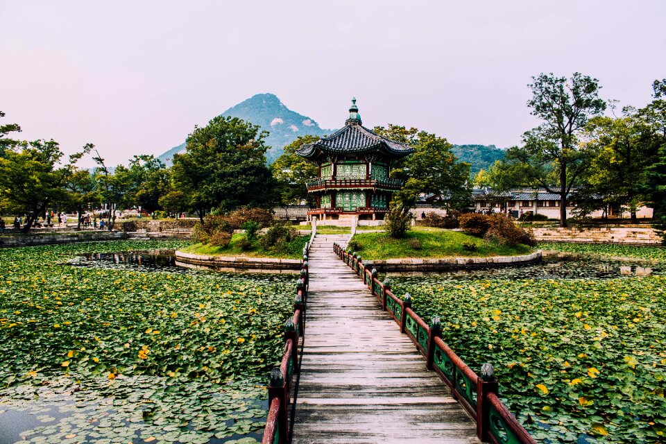 Green nature landscape