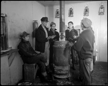 Tule Lake Relocation Center, Newell, California. A large iron stove is enjoyed on cold winter days . . . - NARA - 536961