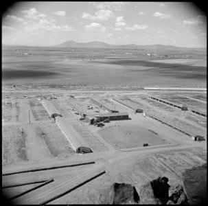 Tule Lake Relocation Center, Newell, California. A general view of the poultry farm at the Tule Lak . . . - NARA - 537129