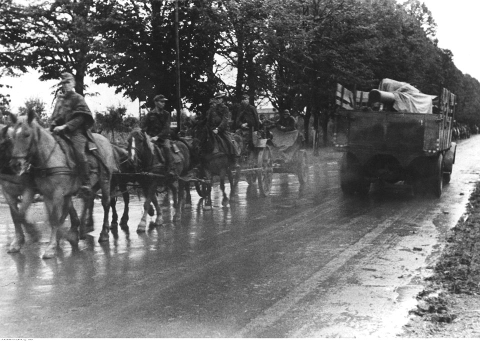 Transport na drodze w dolinie rzeki Pad (2-2422)