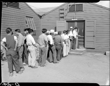 Tule Lake Relocation Center, Newell, California. A line up of evacuee workers waiting for their ide . . . - NARA - 538223