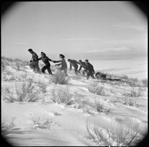 Tule Lake Relocation Center, Newell, California. A pleasant Sunday afternoon's recreation is spent . . . - NARA - 536736
