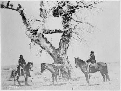 Tree burial of the Oglala Sioux (Horsemen) near Fort Laramie, Wyoming - NARA - 530913