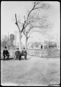 Three gentlemen pass the time on a park bench in San Jacinto Plaza, El Paso, Texas, 1906 - NARA - 523026 photo