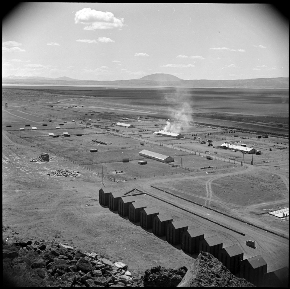 Tule Lake Relocation Center, Newell, California. A general view of the hog farm at the Tule Lake Re . . . - NARA - 537128