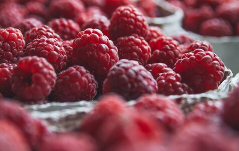 Raspberry berries fruits photo