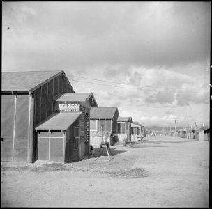 Tule Lake Relocation Center, Newell, California. A view down one of the streets of this relocation . . . - NARA - 536363