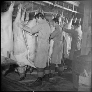 Tule Lake Relocation Center, Newell, California. A view in the slaughter house and butcher shop. H . . . - NARA - 536904