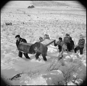 Tule Lake Relocation Center, Newell, California. A pleasant Sunday afternoon's recreation is spent . . . - NARA - 536737