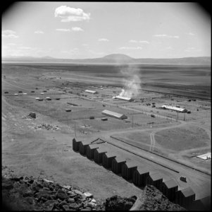 Tule Lake Relocation Center, Newell, California. A general view of the hog farm at the Tule Lake Re . . . - NARA - 537128 photo