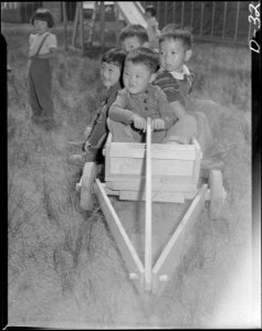 Tule Lake Relocation Center, Newell, California. A group of nursery school children take a ride in . . . - NARA - 538231